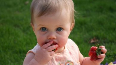 3 Mittagessen für Kinder ab 1 Jahr