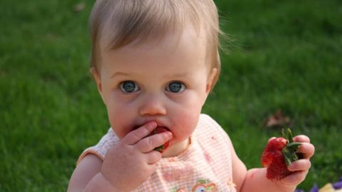 3 Mittagessen für Kinder ab 1 Jahr