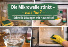 Die Mikrowelle stinkt, was tun? Schnelle Lösungen mit Hausmitteln