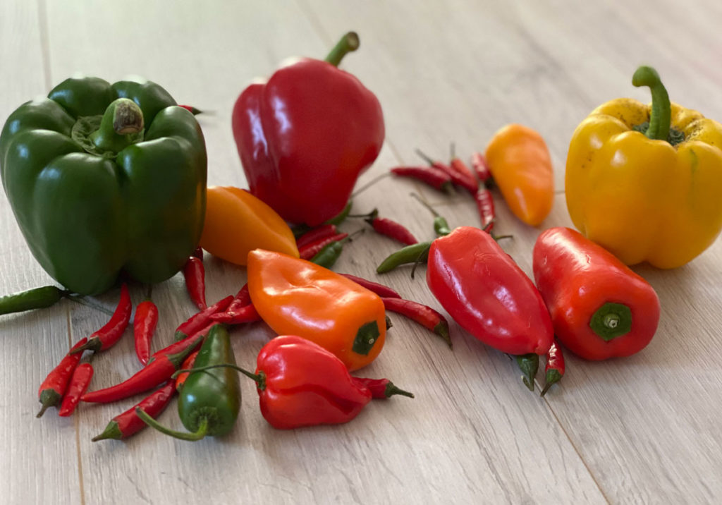 Chili scharf für feurige Rezepte