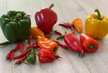 Chili – gesund und scharf würzen für feurige Rezepte Chili – gesund und scharf würzen für feurige Rezepte