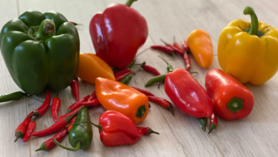 Chili scharf für feurige Rezepte