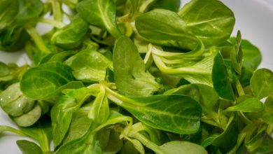 Dressing für Vogerlsalat - einfach lecker mit Senf / Honig und Öl Rezept