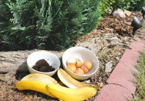 Dünger im Thermomix kostenlos aus Küchenresten selber machen