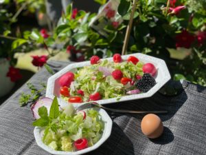 Eisbergsalat mal anders mit Beeren und Eiern pikant und süß