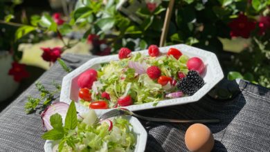 Eisbergsalat mal anders mit Beeren und Eiern pikant und süß