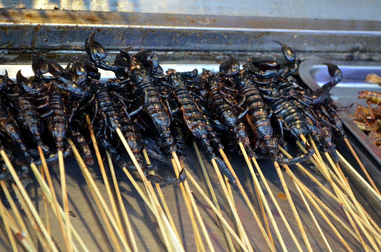 Insektenkochkurs – Die krabbelnde Versuchung!