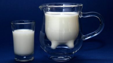 Heiß oder kalt? Welche Form der Milch ist gesünder?