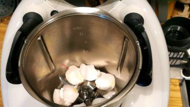 Thermomix Messer reinigen mit Eierschalen
