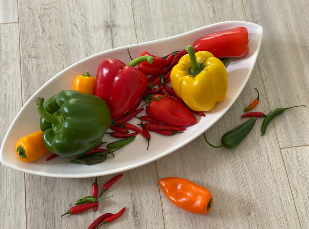 Unterschied zwischen Chili und Peperoni
