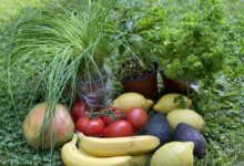 Vegetarisch leben – Was gehört dazu? Vegetarisch leben – Was gehört dazu?