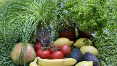 Welche Formen des Vegetarismus gibt es