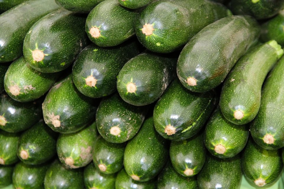 So kann man Zucchini einfrieren und wieder auftauen Ratgeber